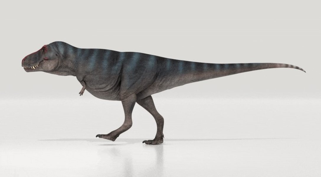 Тираннозавр