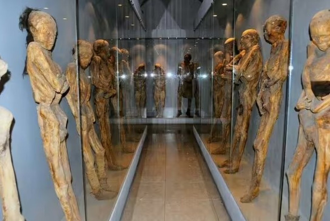 изложба на мумии