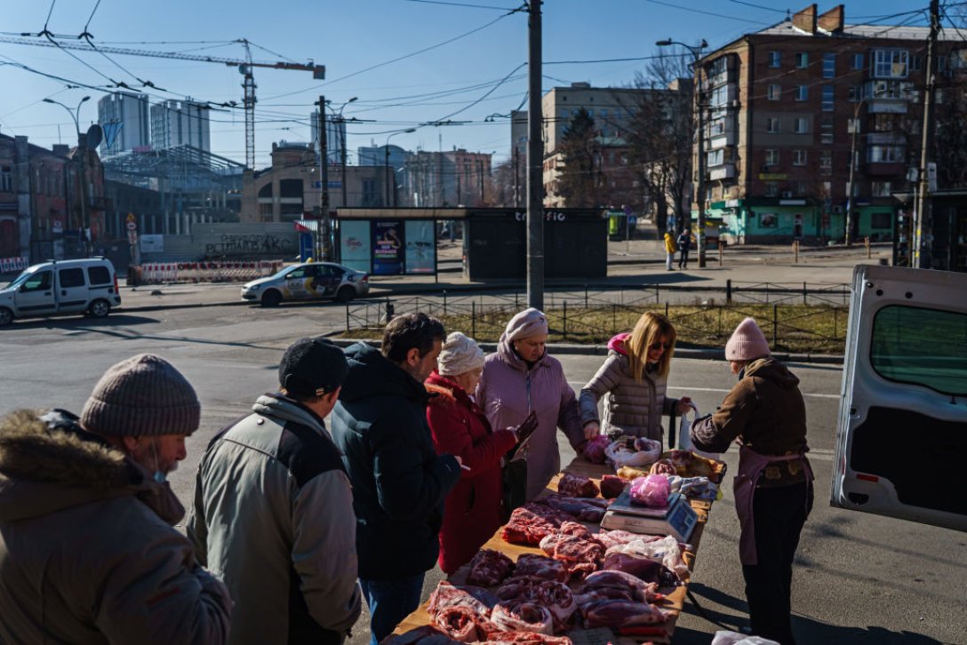 животноводство в украине, птицефабрики в украине, производство мяса в украине, продовольственный кризис в украине, животноводство обеспеченность кормами, животноводство медпрепараты, производство мяса, мясная промышленность в украине
