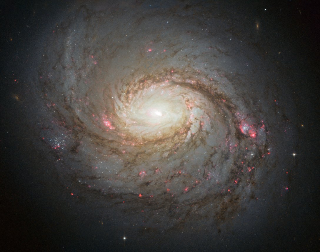 галактика NGC 1068, M 77