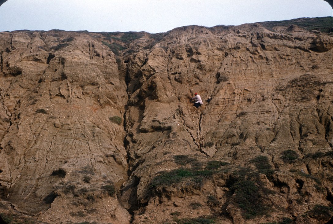 Археология, наука, человек