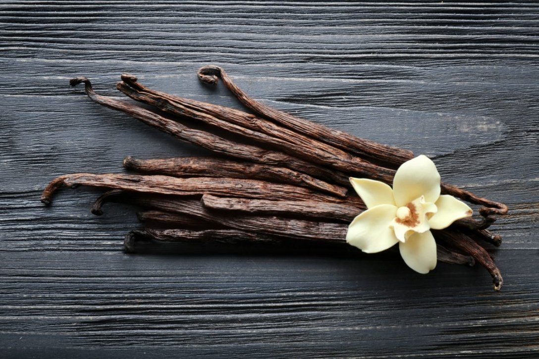 vanilla, table, photo