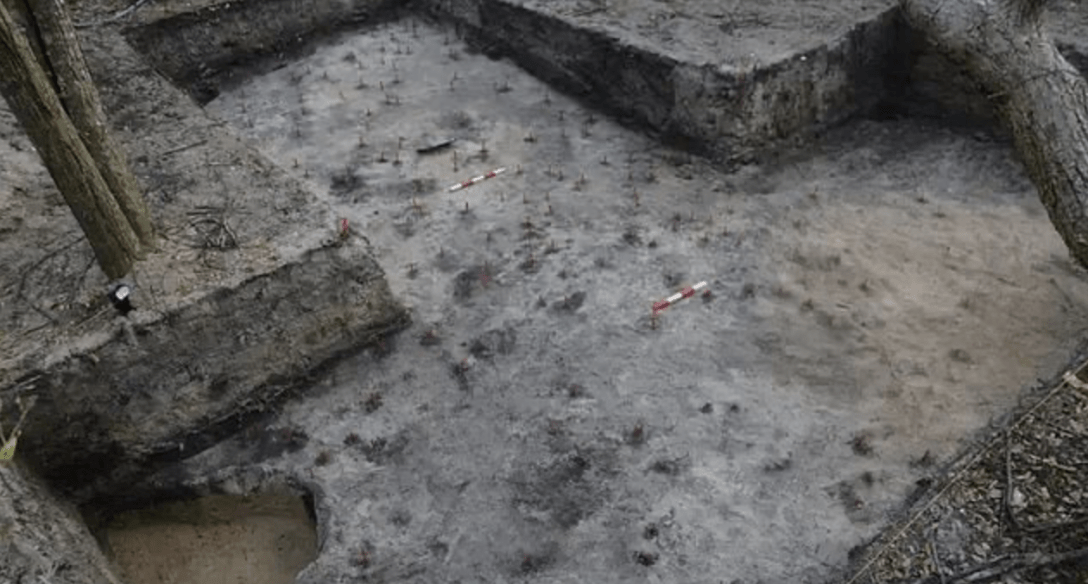 Втрачена колонія - куди зникли англійці в США понад 400 років тому2