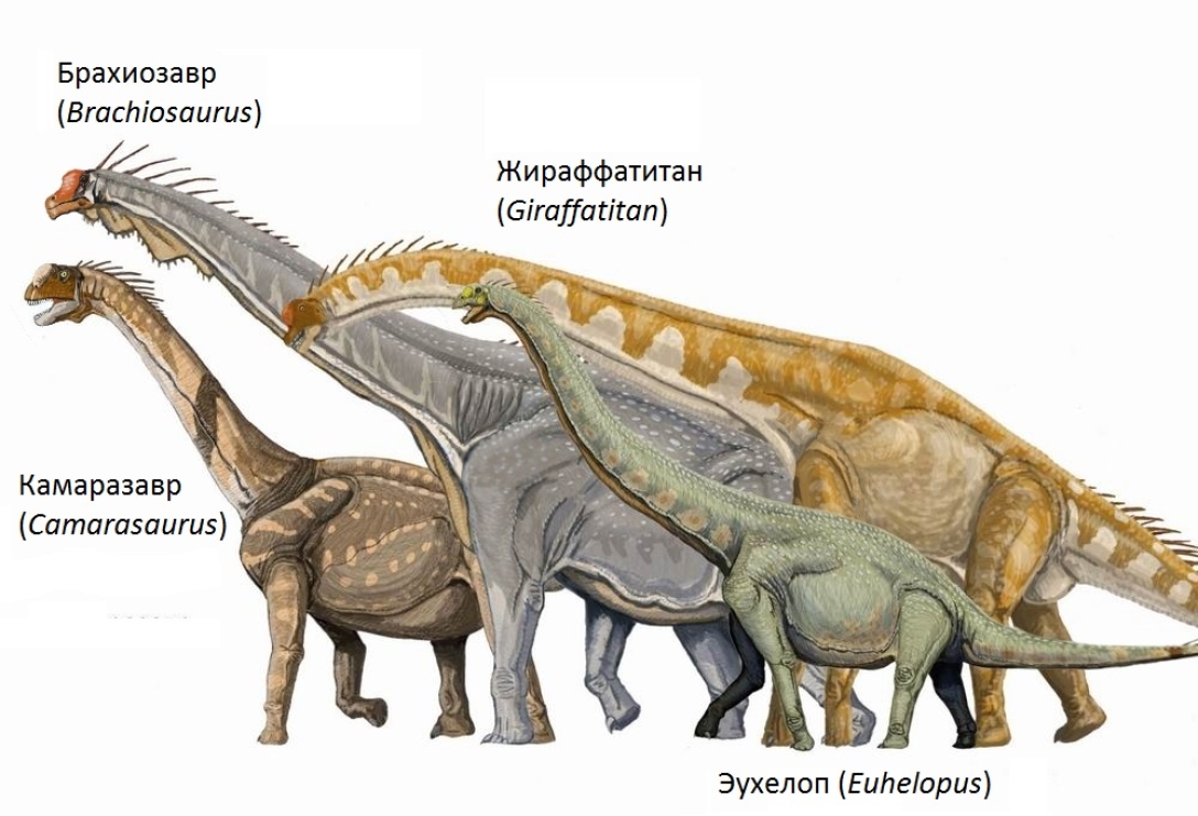 Динозавр с длинной шеей название, динозавр с длинной шеей травоядный