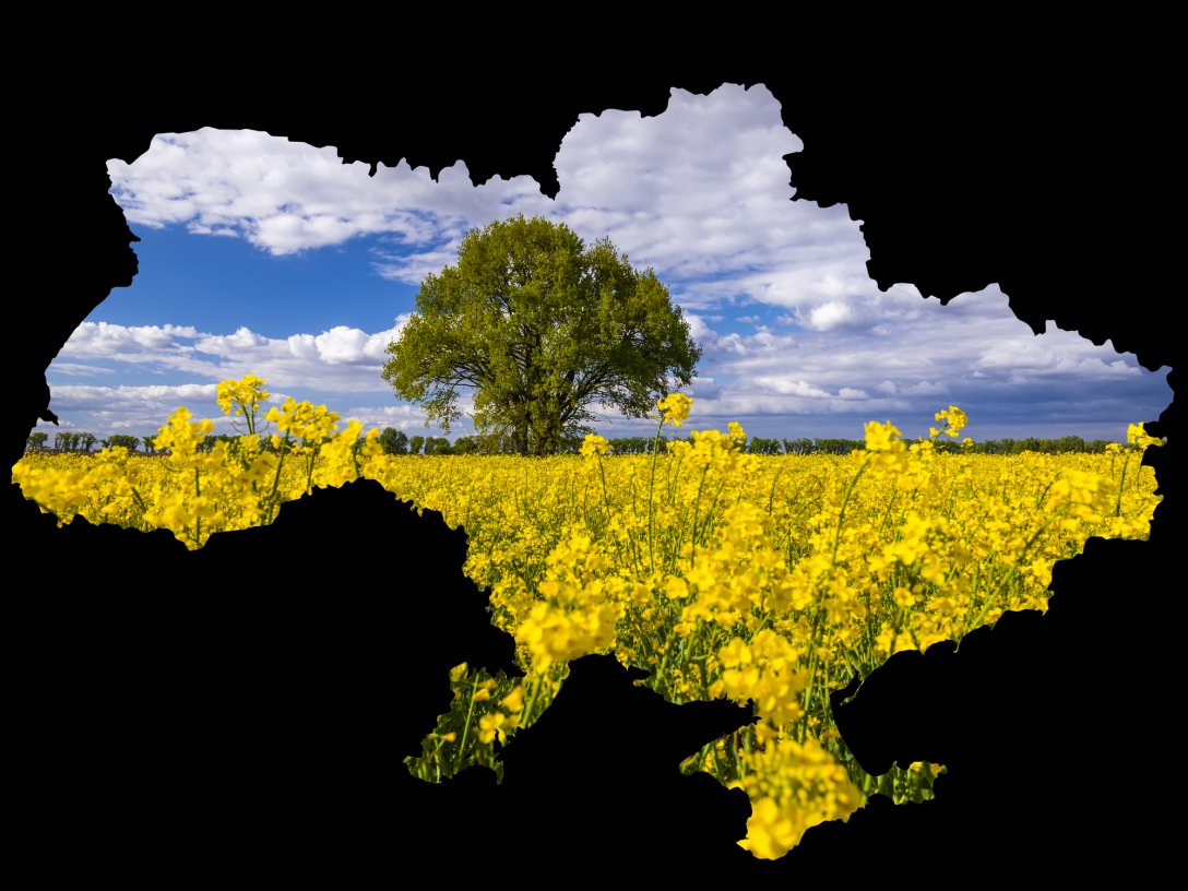 Украина, патриотизм, украинские ценности, украинский проект, война с пропагандой