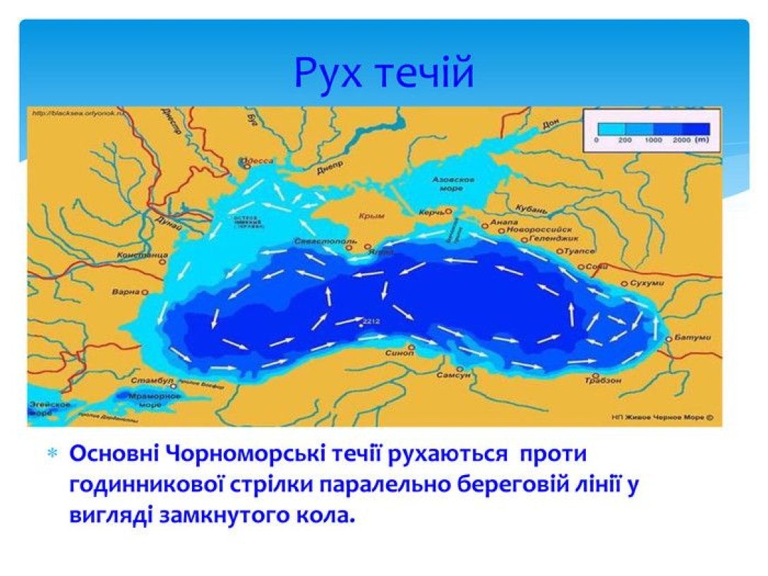 Чорне море, течії в Чорному морі, рух течій, Чорноморські течії, карта, берегова лінія Чорного моря