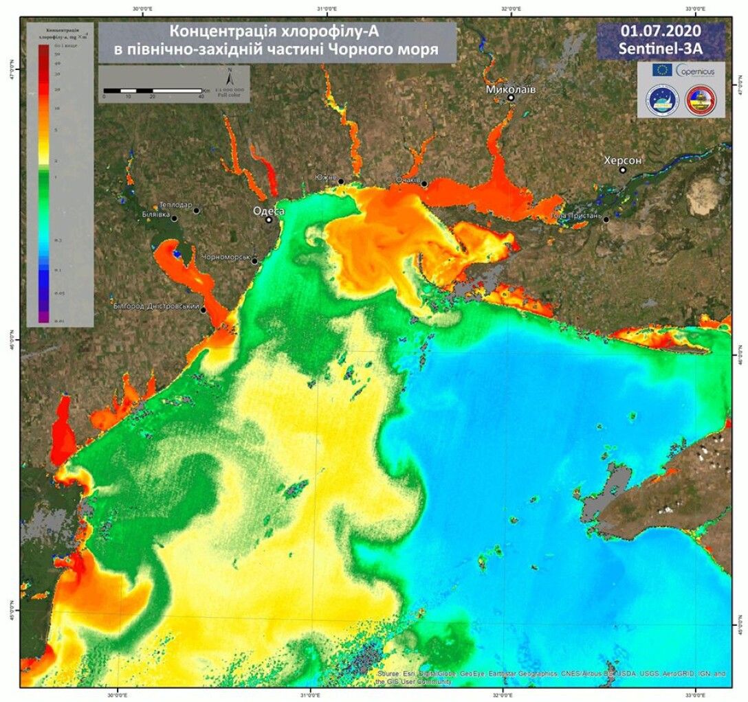 Спутники из космоса засняли, как на побережье Черного моря цветет вода  (видео)