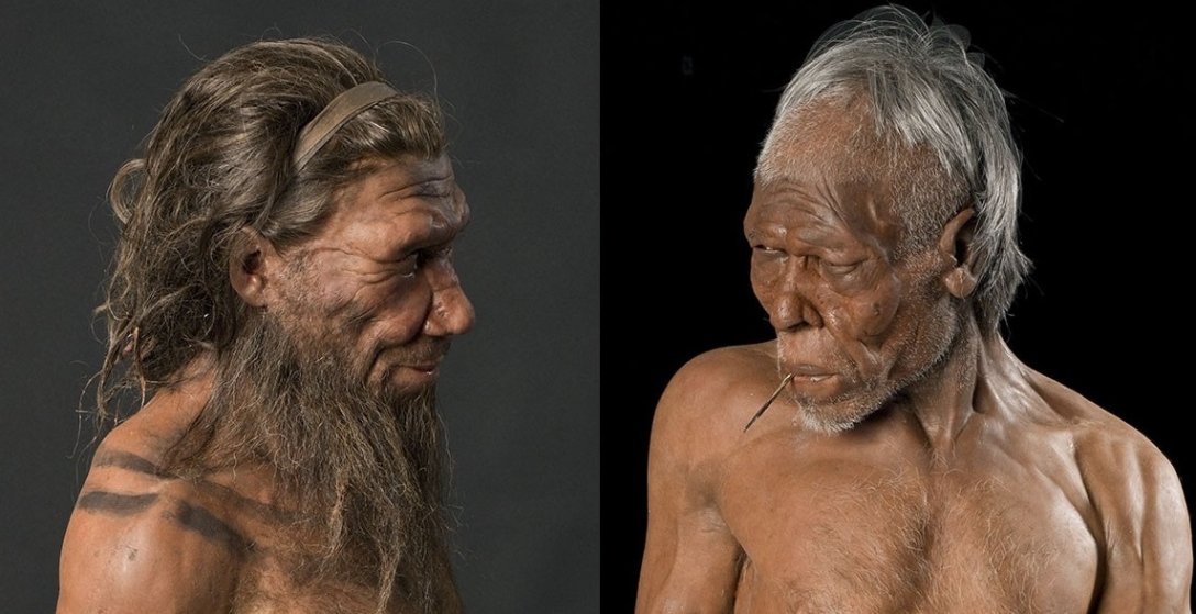 неандертальцы, Homo sapiens