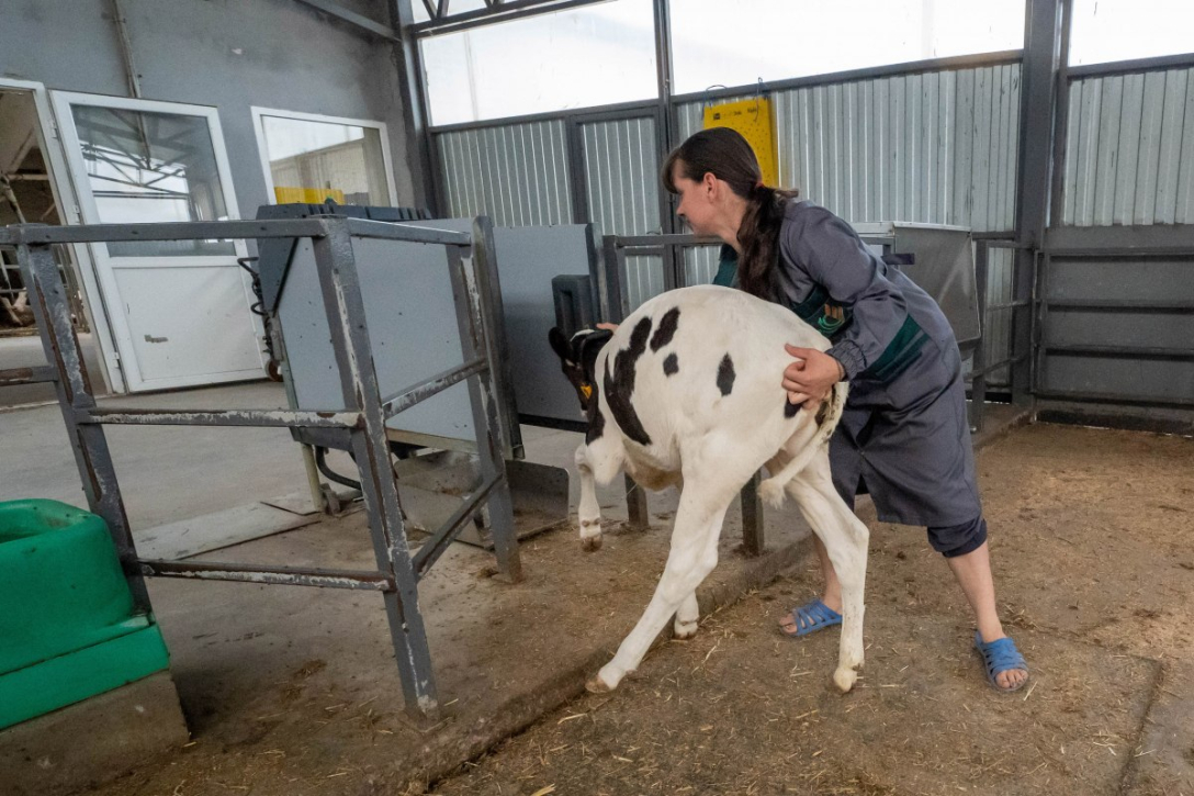 Експерти стверджують, що найскладніша ситуація з персоналом залишиться в агросфері, а в роздрібній та ресторанній господарстві