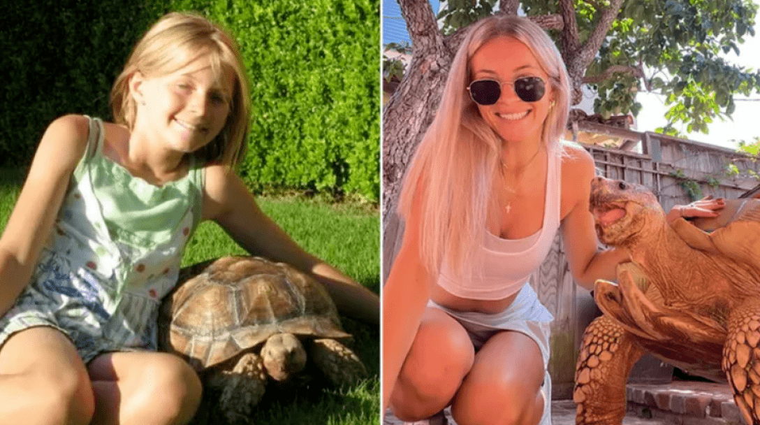 girl, girl, turtle