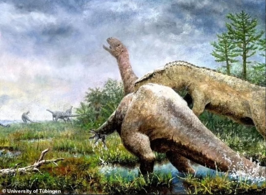 Тюбингозавр, динозавр