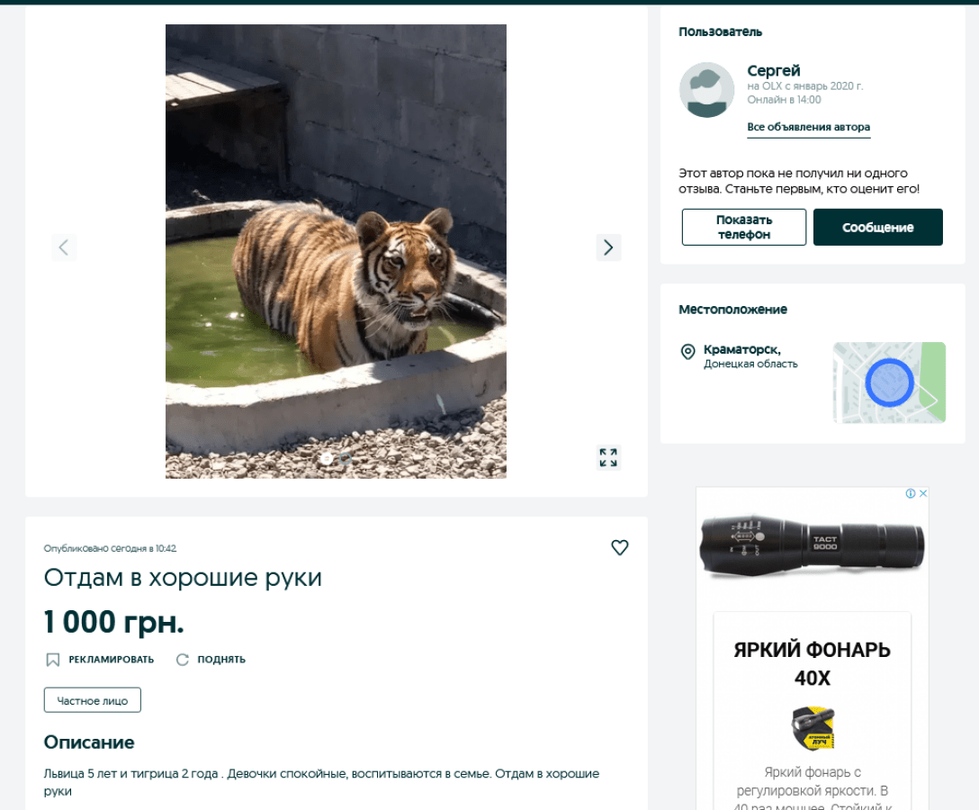 Отдам в хорошие руки»: житель Краматорска продает тигрицу и львицу за 1000  грн
