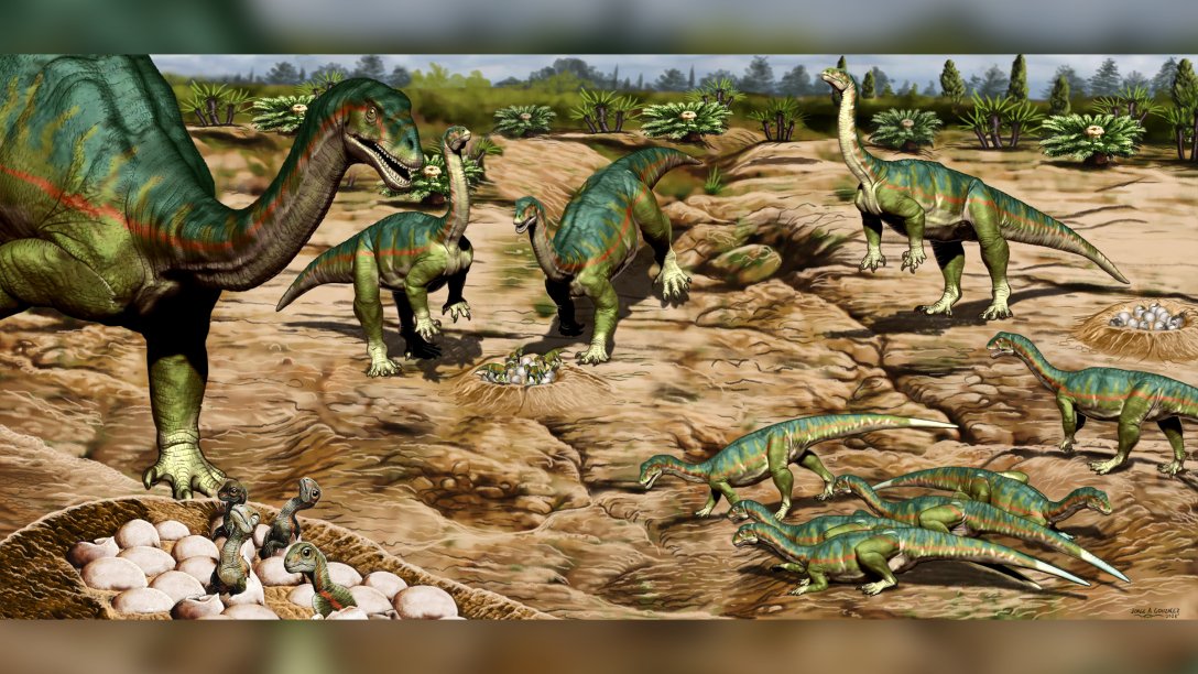 Mussaurus patagonicus, динозавры