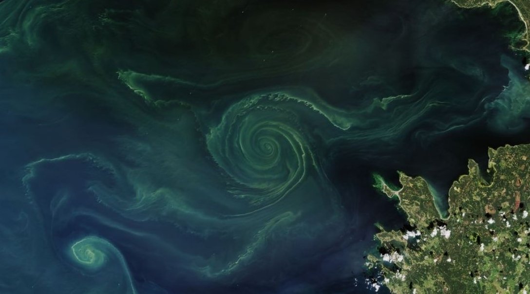 žalia spiralinė Baltijos jūra