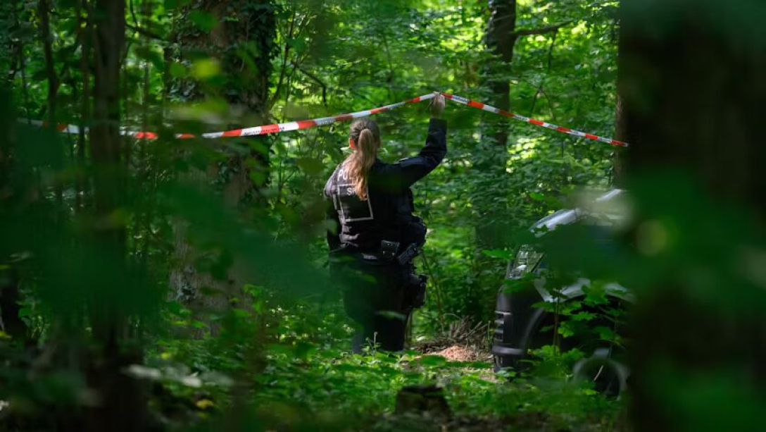 Місце в лісі, де знайшли тіло 9-річної дівчинки з України