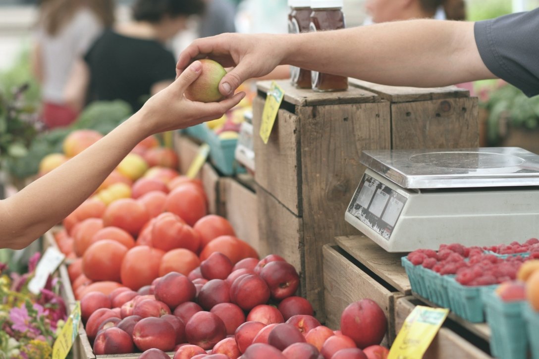 торговля, фрукты, овощи, цены