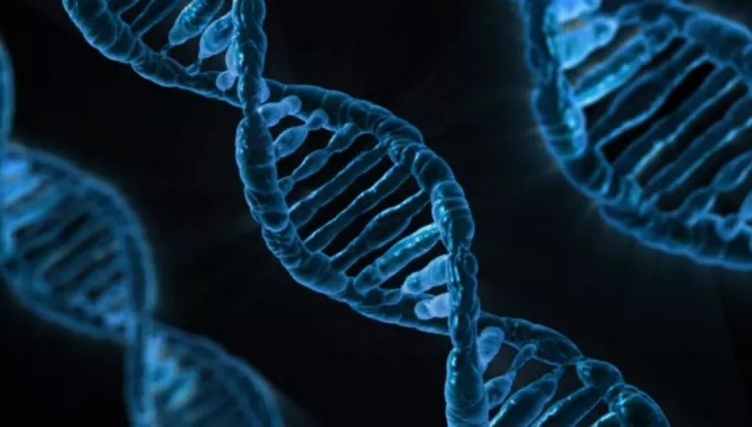 геном человека, ДНК человека, научные открытия, научные открытия 2022, самые важные научные открытия, открытия в науке, что изобрели в 2022 году