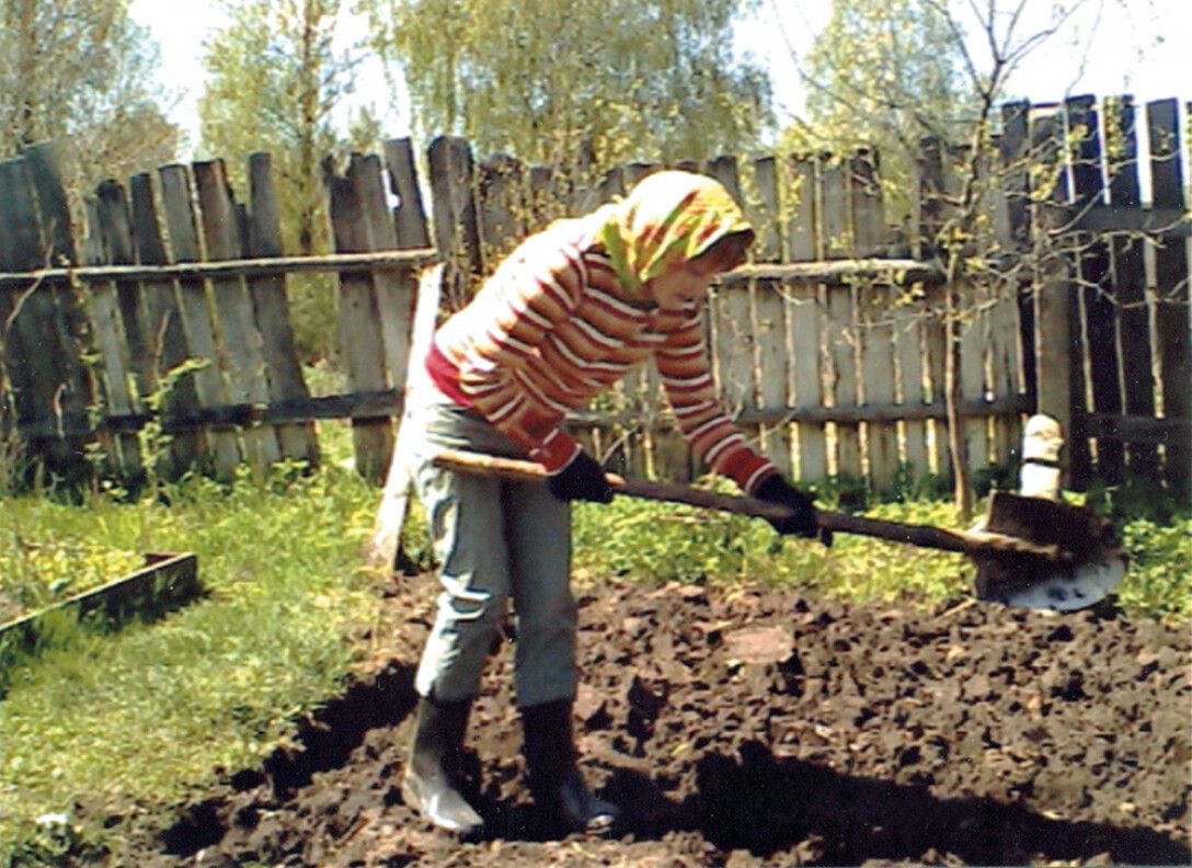 Загородные огороды. Как проводили лето советские дачники - ФОКУС