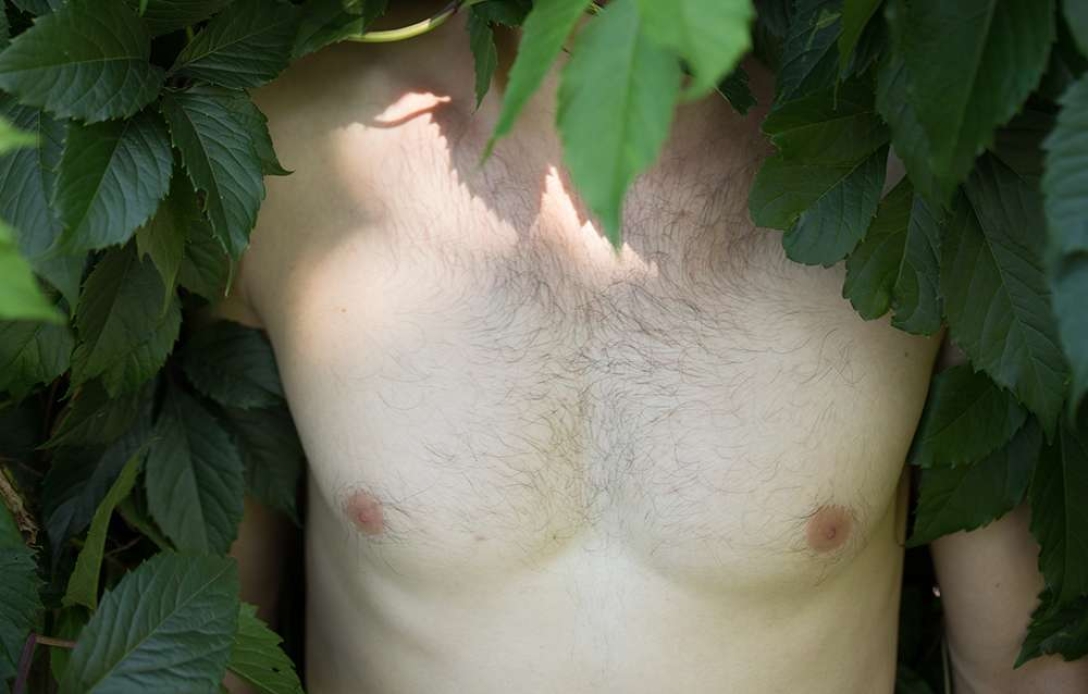 мужчина, листва, грудь, фото