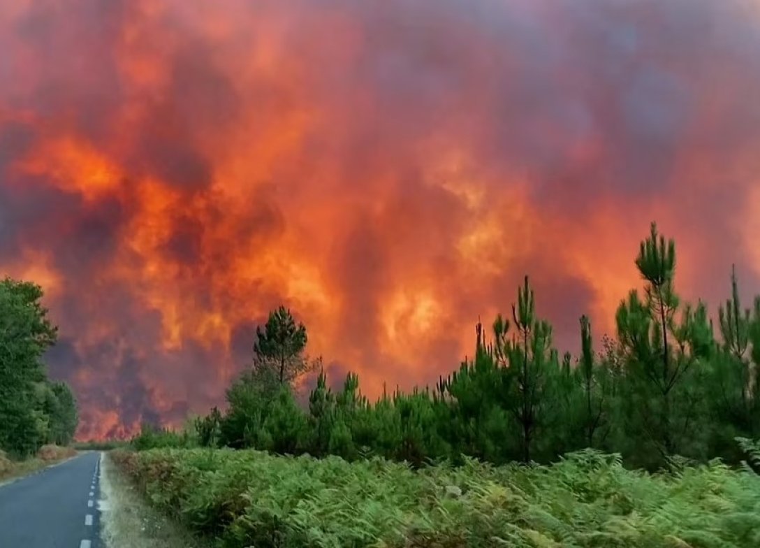 лесной пожар, Франция