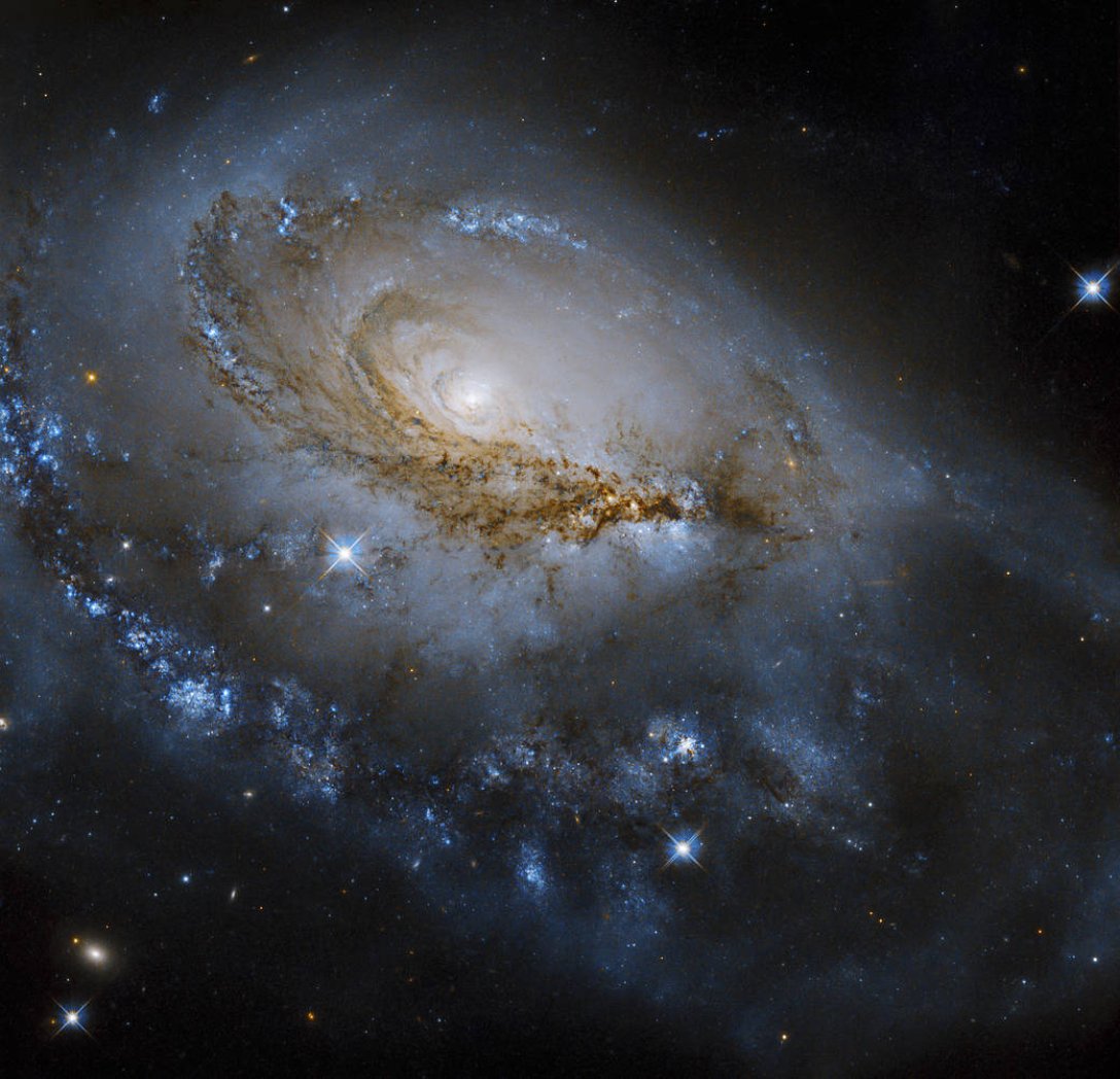 галактика NGC 1961