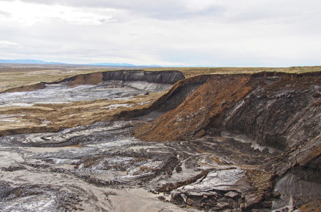 Зомбі-віруси в Сибіру можуть спровокувати нову страшну пандемію