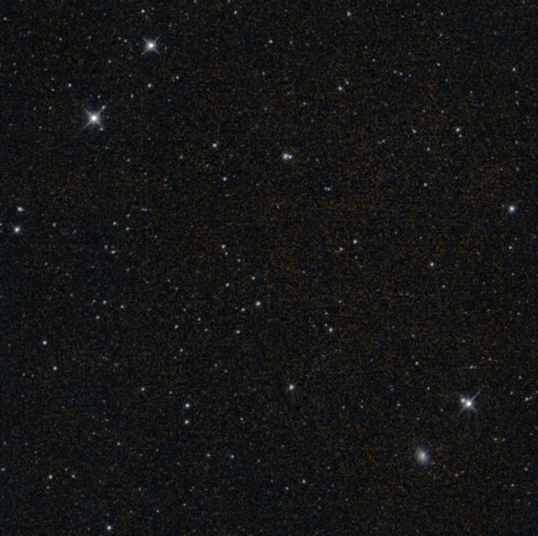 NEOWISE