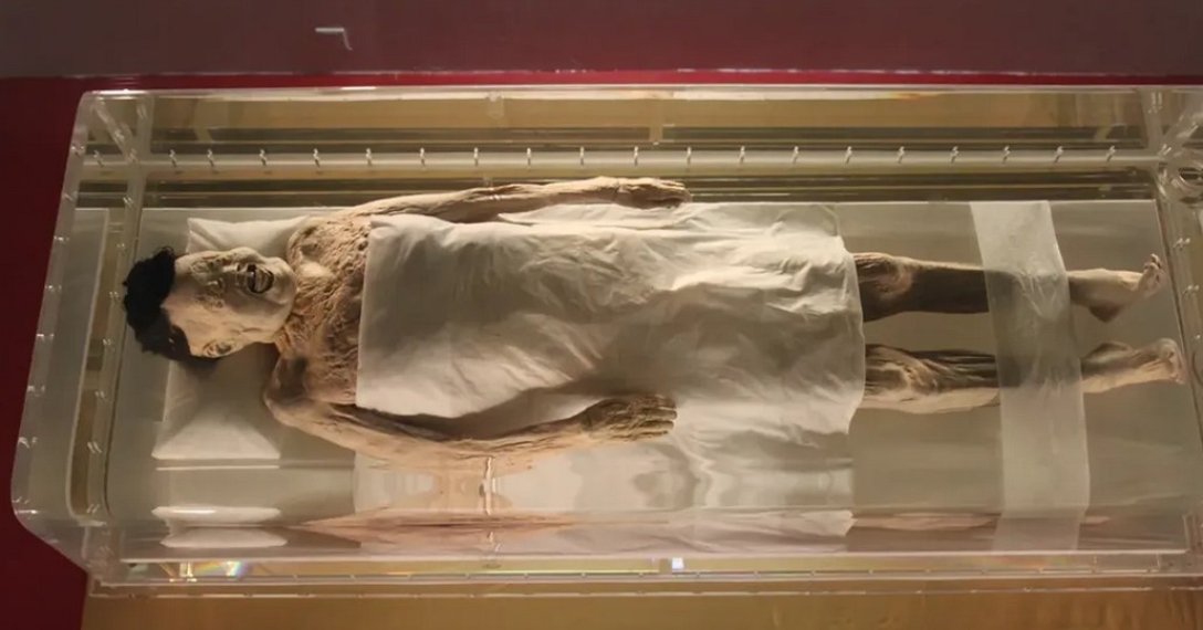 мумия Xin Zhui