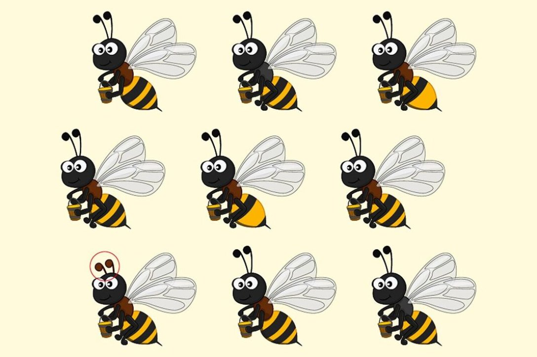 Візуальна головоломка, бджоли, задачка з бджолами, знайди відмінності, перевірка зору, перевірка уваги, тест на спостережливість, високий IQ,
