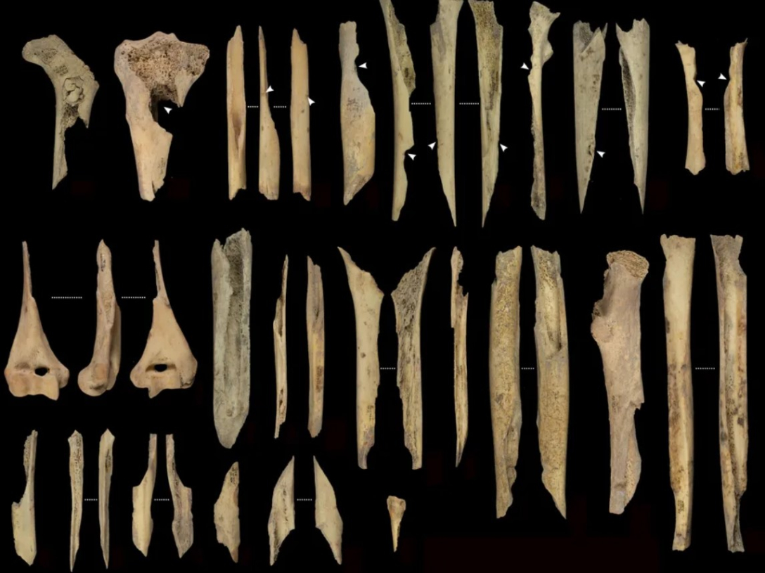 кістки стародавні люди канібалізм