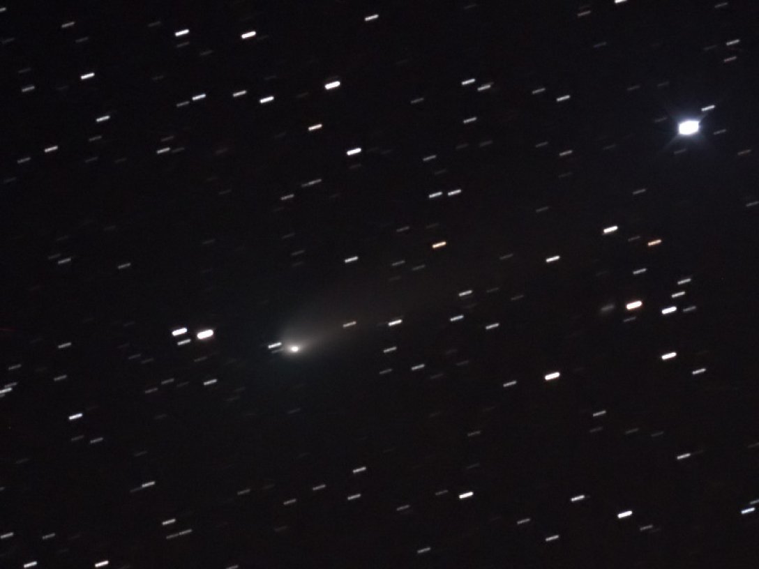 комета Вільда 2