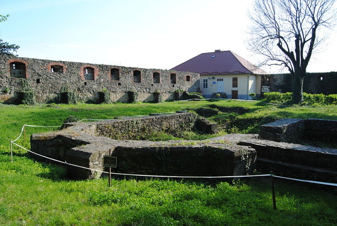 єзуїти, розкопки, археологи, Україна, амулет, медальйон, знахідка, орден, історія, Ужгород, замок, церква, вчені, археологія