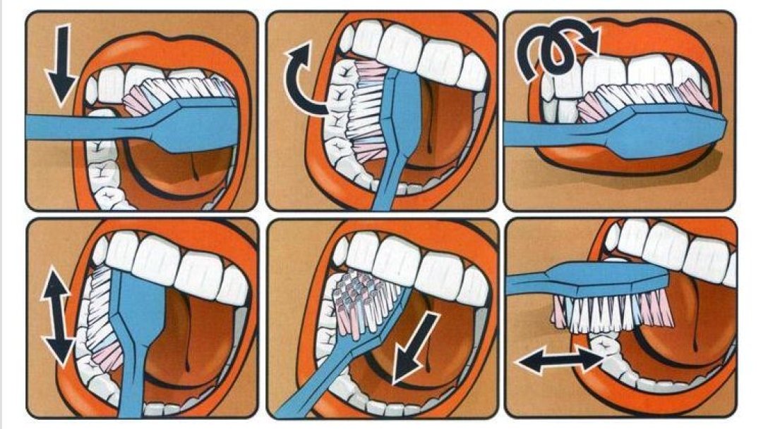 Чистим зубы правильно картинки