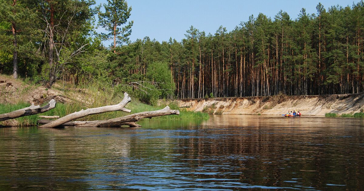 Край даже. Урочище белые озера Мордовия. Урочище «белые озера». Покатый берег реки. Белые берега природа.