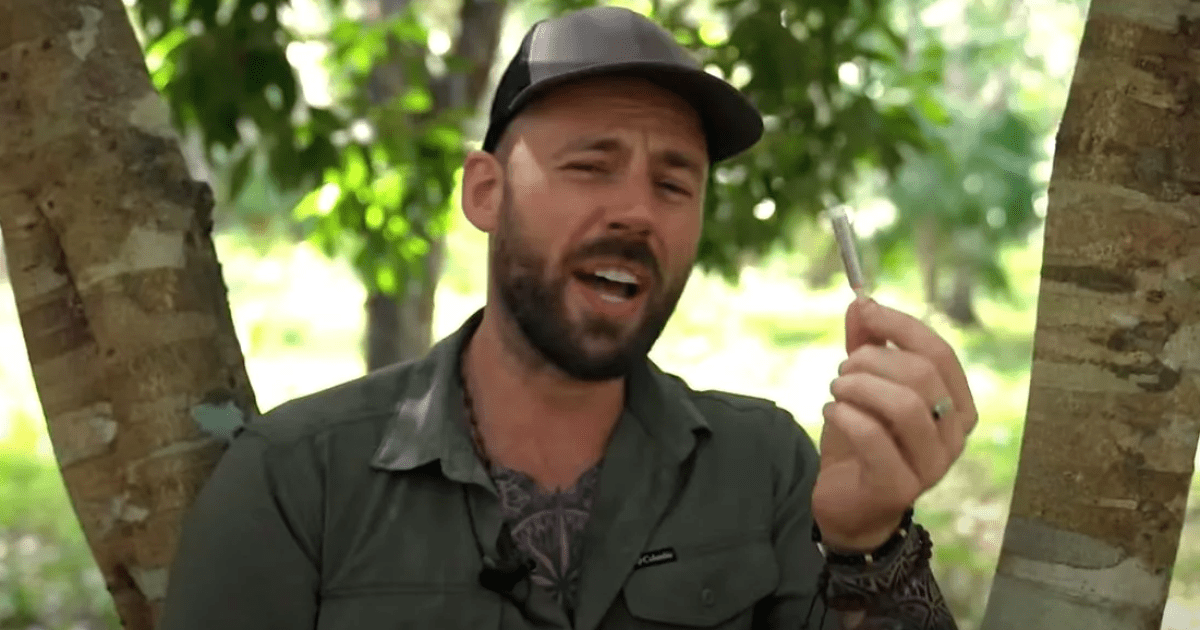 На вкус как резина: блогер рассказал, как на самом деле делается жвачка ...