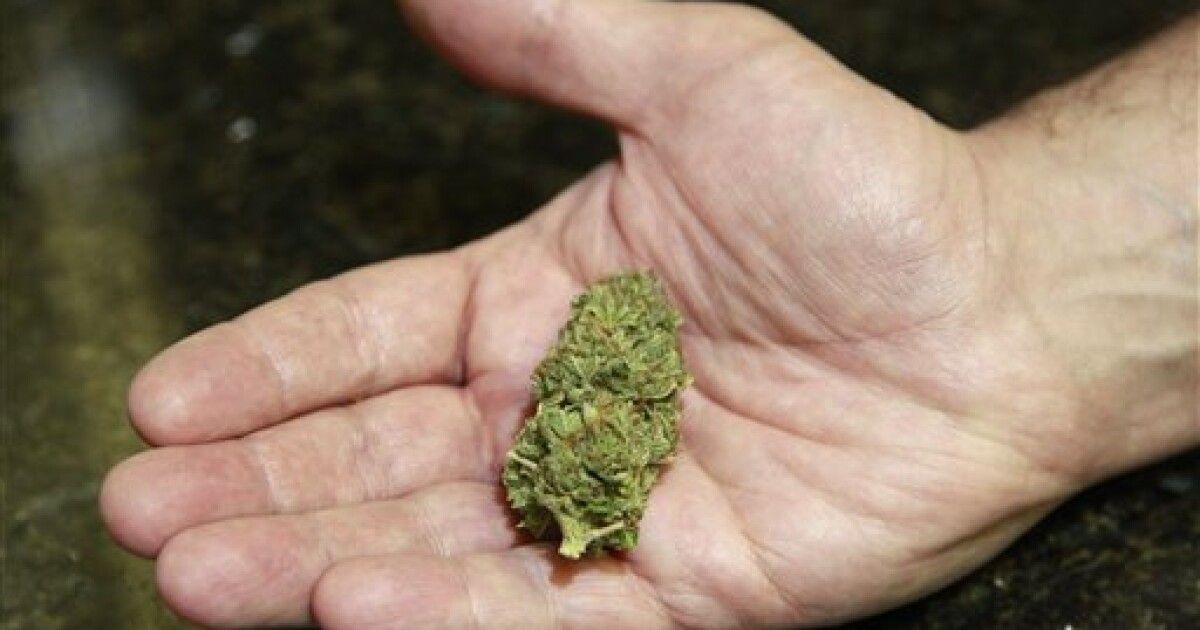 Вашингтон легализована марихуана вредные последствия марихуаны