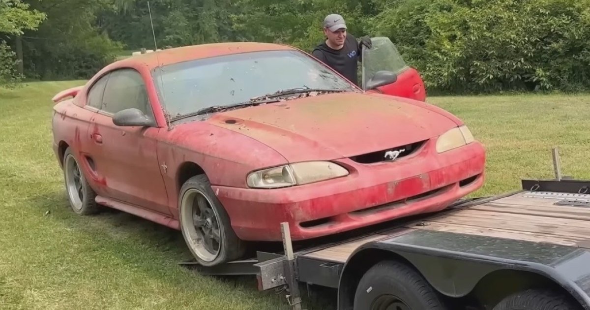 Abandoned Ford Mustang Found in Shed After 8 Years and Fully Restored to Original Appearance: Watch the Video!