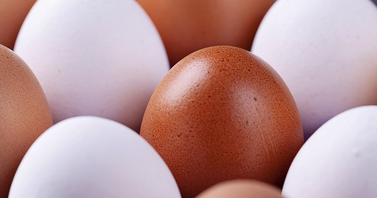 правда ли, что чем темнее желток, тем натуральнее яйцо?