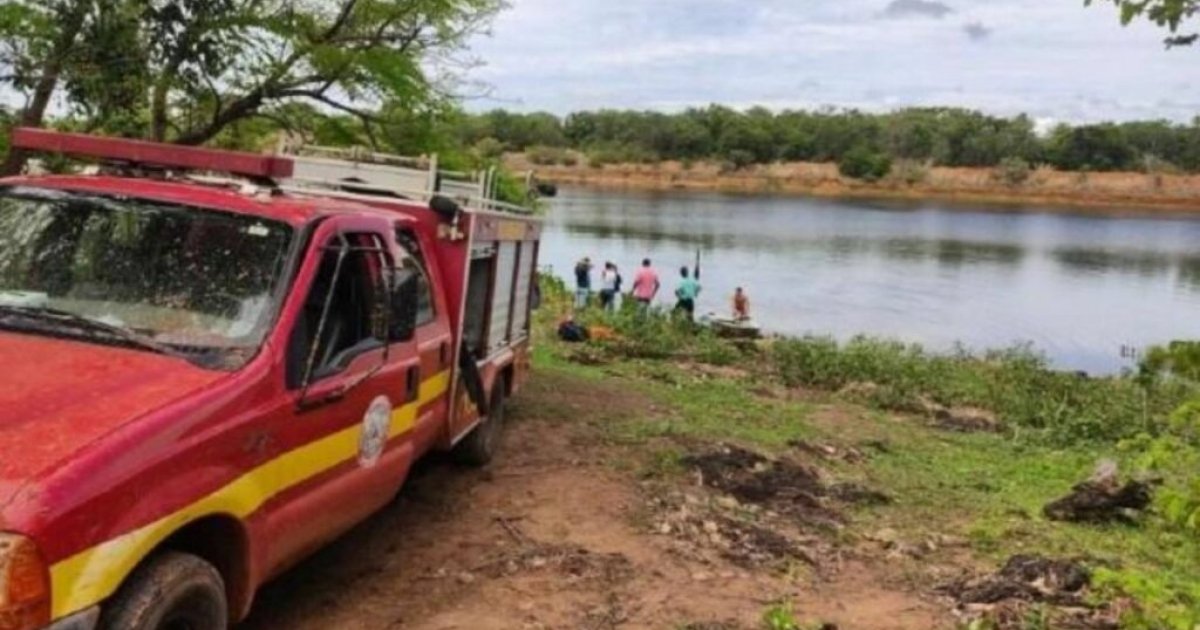 In Brazil, a fisherman escaped a swarm of bees, but fell victim to piranhas