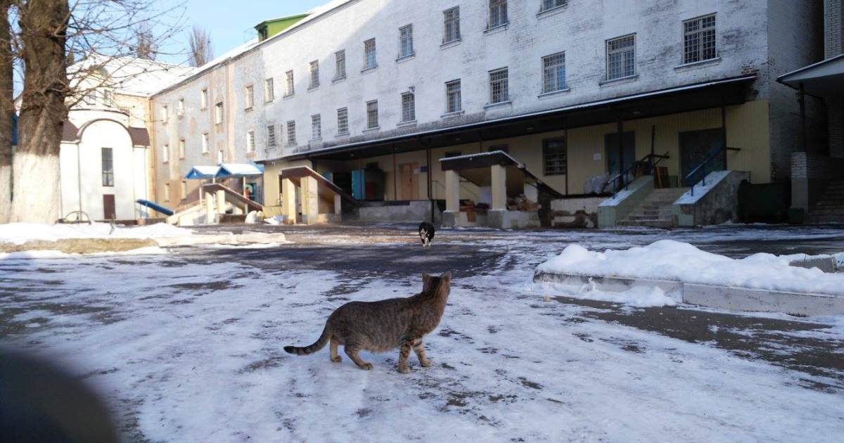 A stabbing took place in the paid cell of the Lukyanovsky SIZO, which was presented by Malyuska (photo)