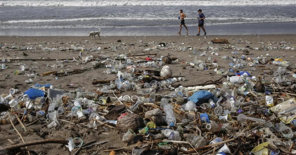 Microbes eat plastic and are already capable of degrading 10 types – research