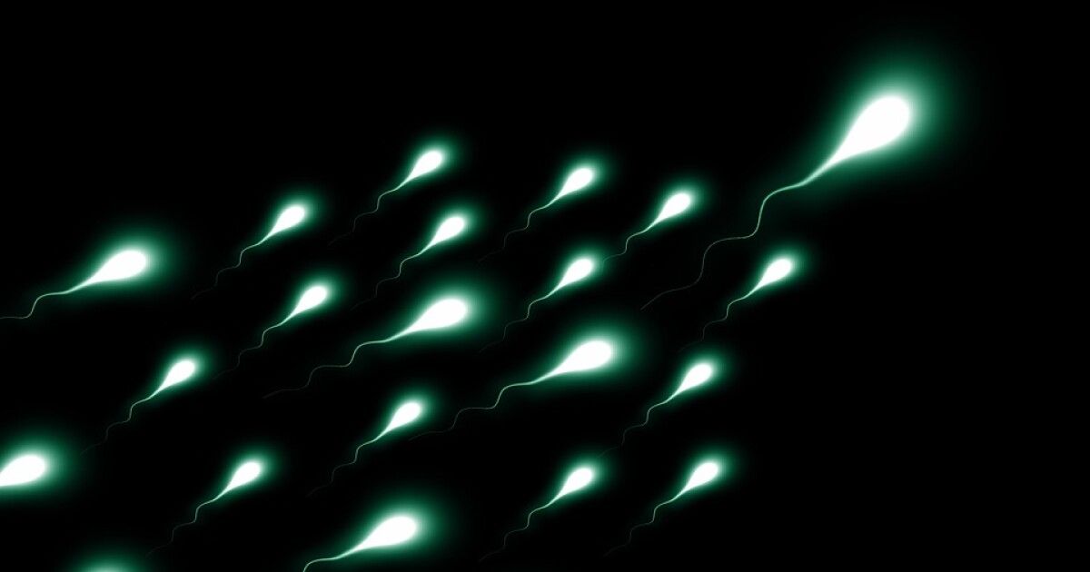 Как влияет марихуана на сперму как быстро избавиться от марихуаны