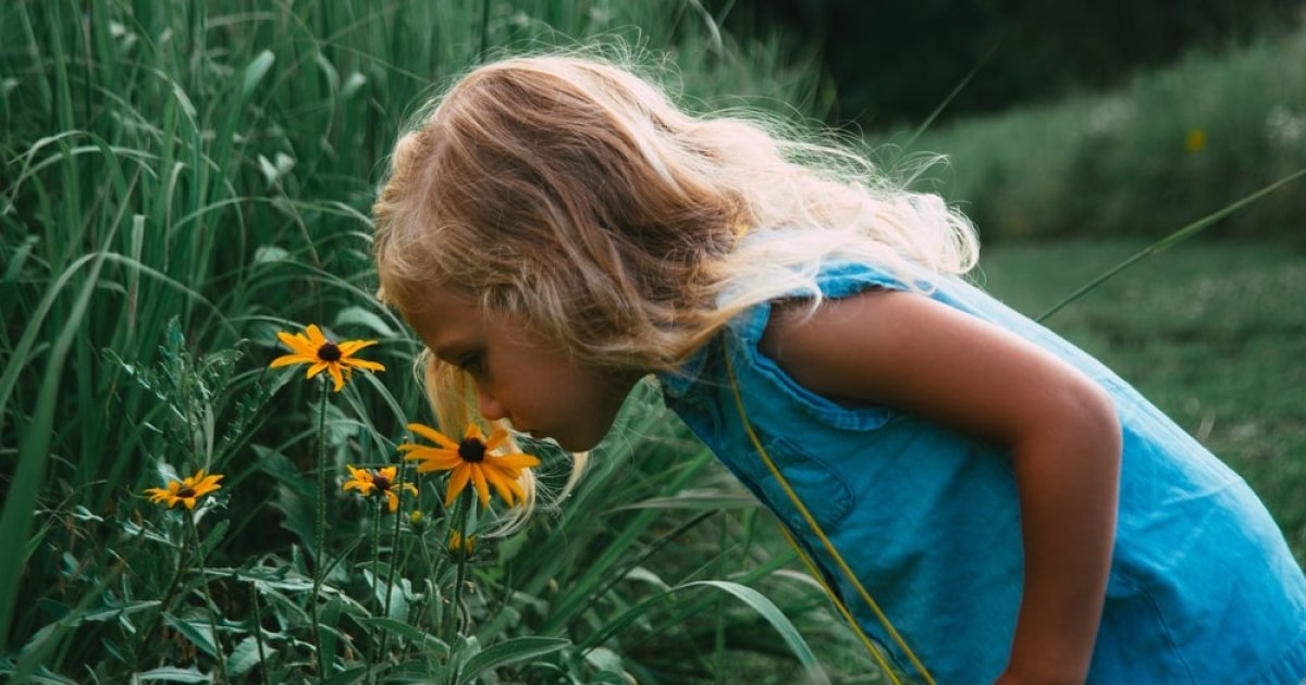 scientists have found a smell that all people on Earth love