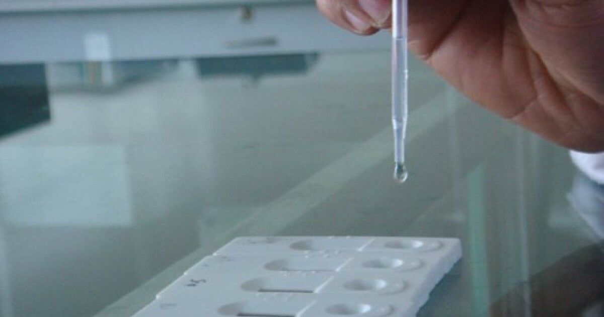 Ученые создали супер-тест, выявляющий кишечную инфекцию - ФОКУС