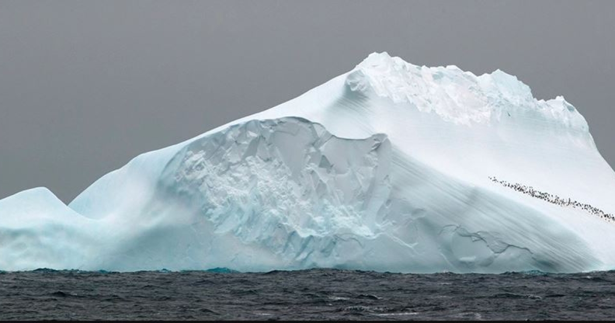 Something ancient.  DNA discovered millions of years old in Antarctica