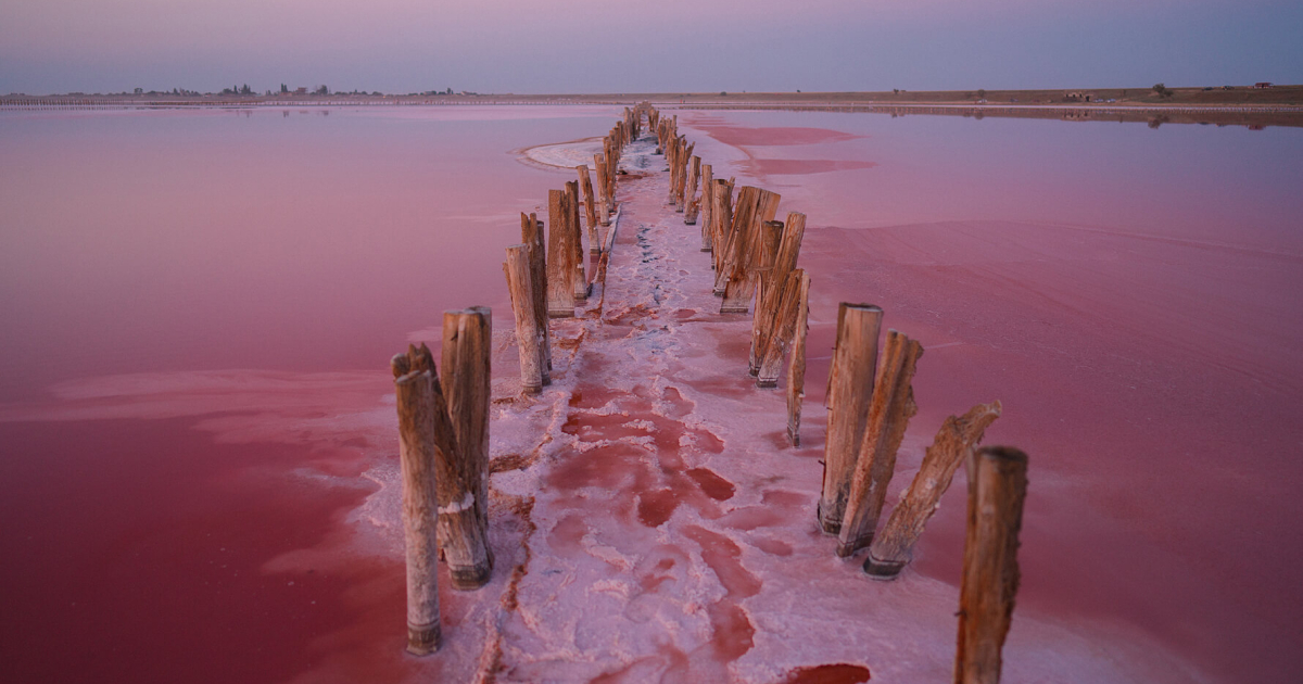 Лемурійське озеро, рожеве озеро, Херсонська область