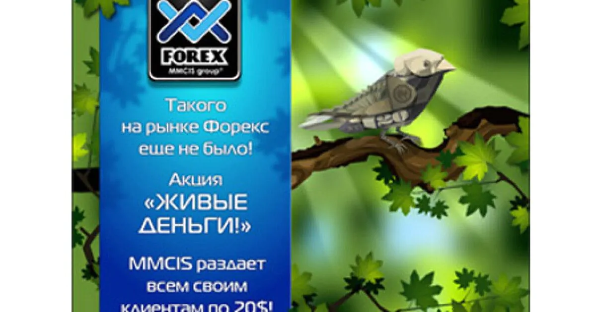 Заработать стартовый капитал с компанией FOREX MMCIS group|Вінниця.інфо