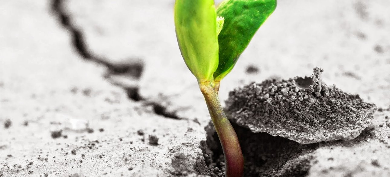 Фото: benessereearmonia.it