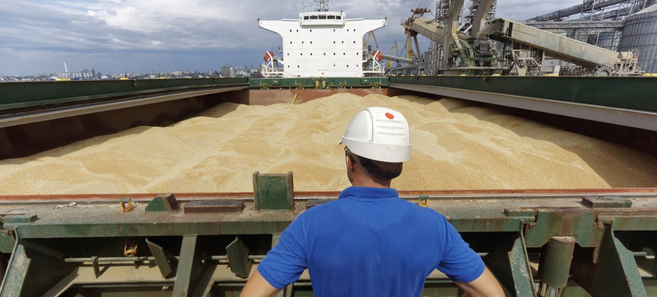 Експорт, зерно, порт