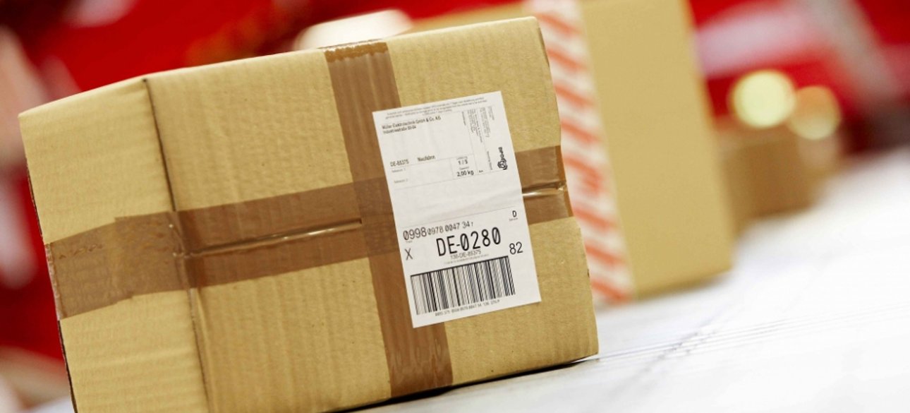 Фото: открытые источники